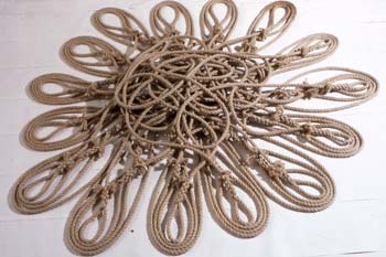 Splice